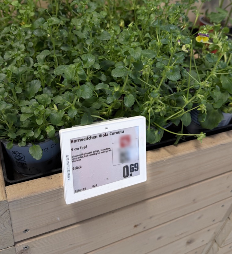 Electronic shelf label on a plant display in a garden centre